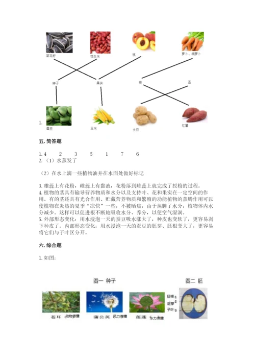 科学四年级下册第一单元植物的生长变化测试卷必考题.docx