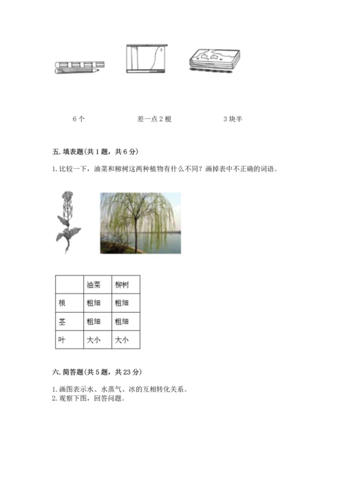 教科版一年级上册科学期末测试卷（综合题）.docx