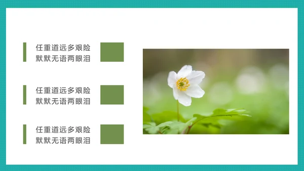 泛舟湖上通用PPT模板