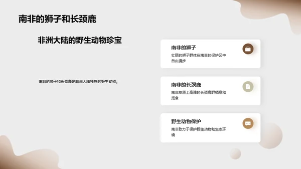探索非洲野生动物之旅