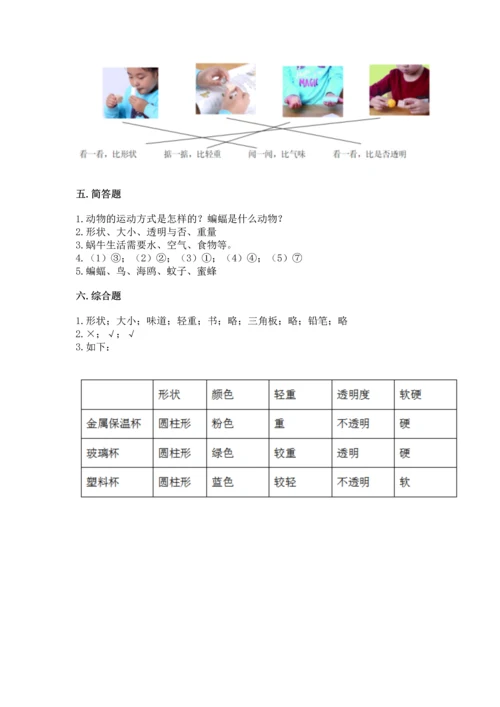 教科版一年级下册科学期末测试卷附参考答案（轻巧夺冠）.docx