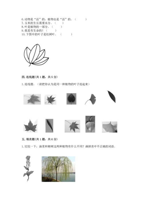 教科版一年级上册科学期末测试卷精品（基础题）.docx