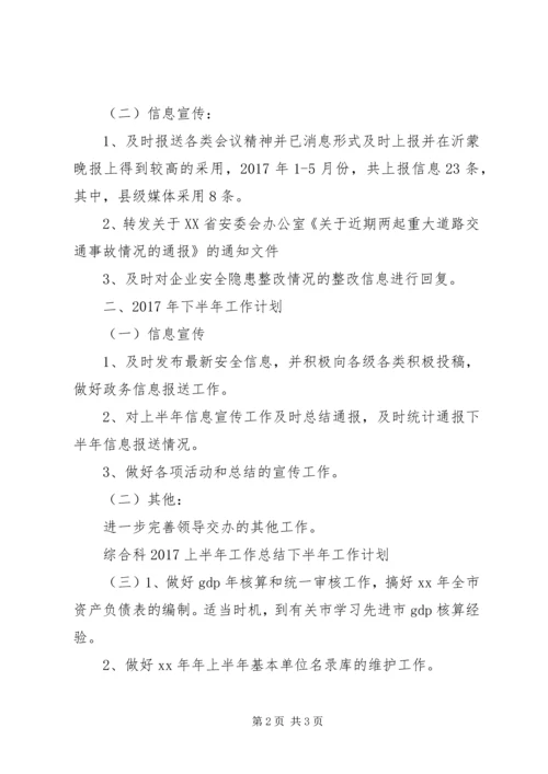 综合科20XX年上半年工作总结下半年工作计划(2).docx
