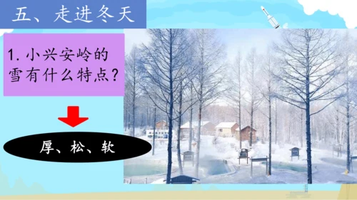 第20课《美丽的小兴安岭》课件