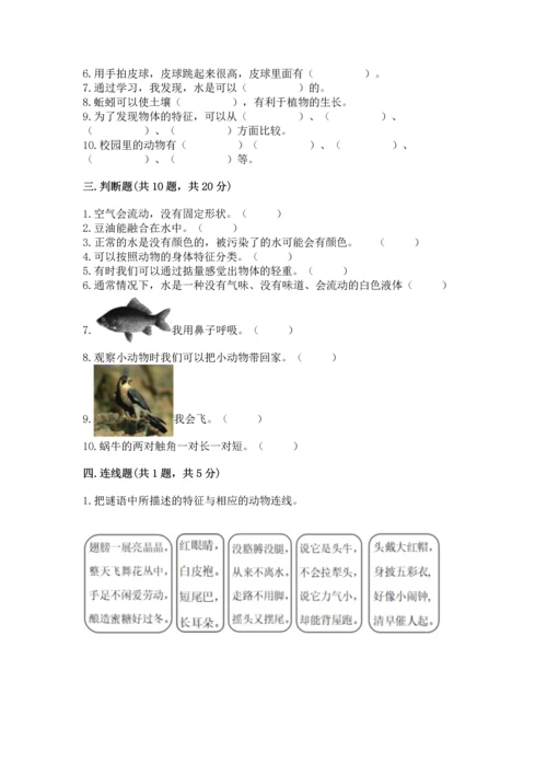 教科版一年级下册科学期末测试卷有解析答案.docx