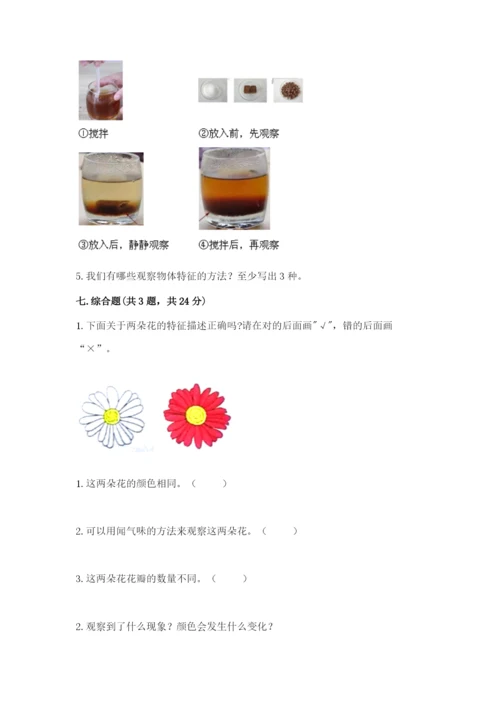 教科版一年级下册科学期末测试卷【全优】.docx