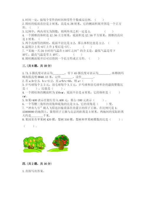 人教版小升初数学模拟试卷及参考答案（培优a卷）.docx