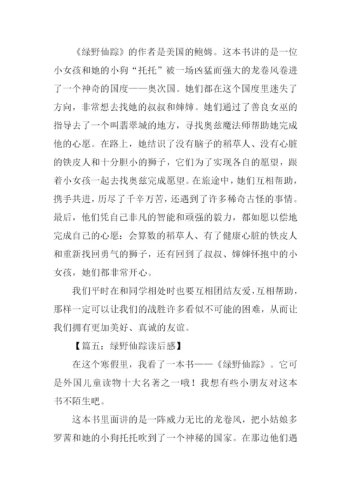 绿野仙踪读后感400字.docx