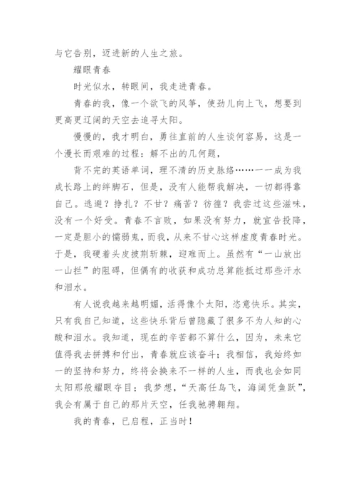 青春的门槛议论文.docx