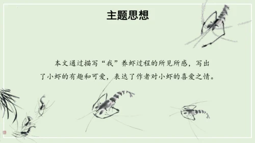 第15课《小虾》（教学课件）