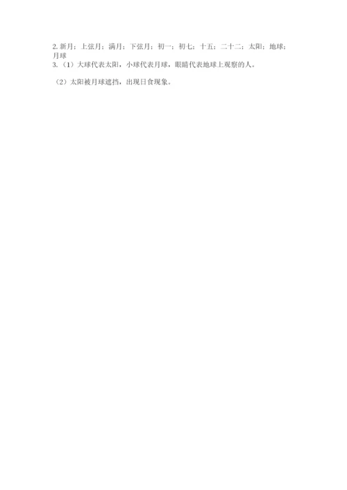 教科版小学科学三年级下册 期末测试卷【培优】.docx