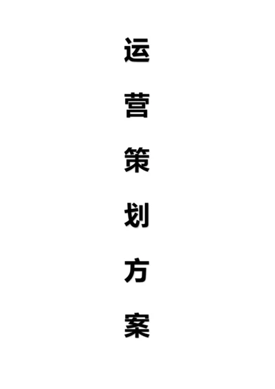 家装公司运营专业策划专项方案书.docx