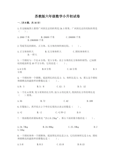 苏教版六年级数学小升初试卷精品【夺冠】.docx