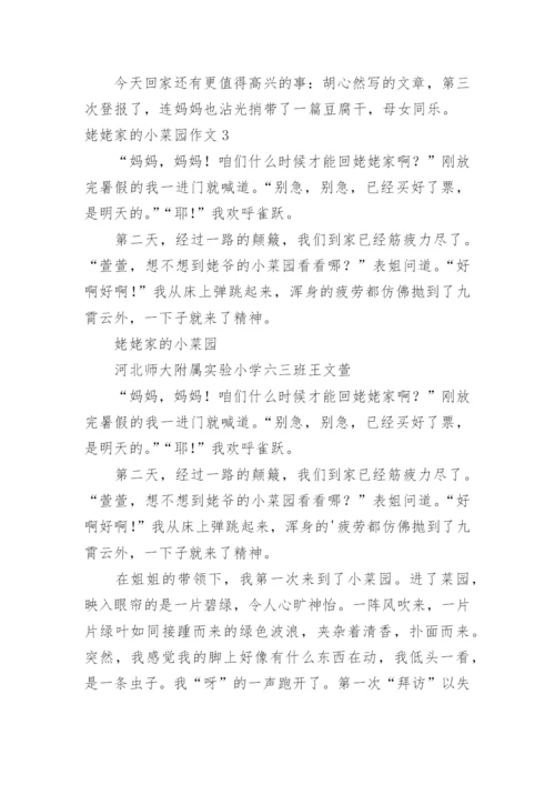 姥姥家的小菜园作文.docx
