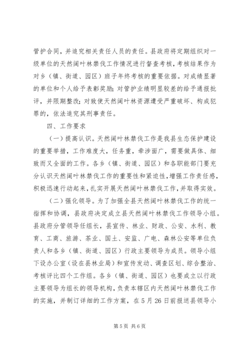 阔叶林禁伐工作方案.docx