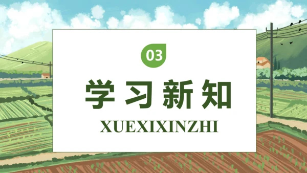 【核心素养】部编版语文四年级下册-2.乡下人家 第2课时（课件）