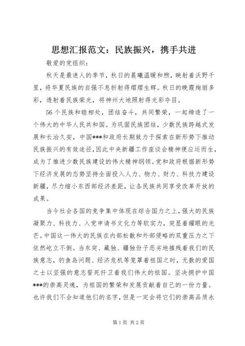 思想汇报范文：民族振兴，携手共进 (2).docx