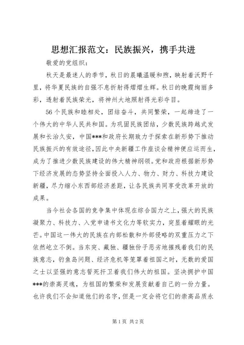 思想汇报范文：民族振兴，携手共进 (2).docx