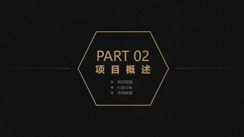 高端黑金商务商业计划书通用PPT模版