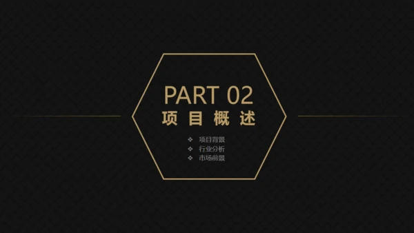 高端黑金商务商业计划书通用PPT模版