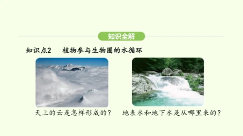 第三单元-第二章-第四节-植物在自然界中的作用课件-2024-2025学年七年级生物下学期人教版(2