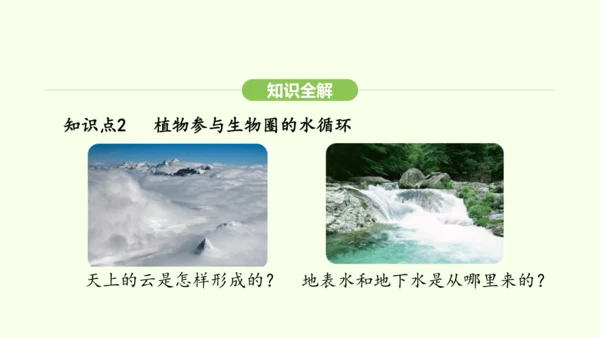 第三单元-第二章-第四节-植物在自然界中的作用课件-2024-2025学年七年级生物下学期人教版(2