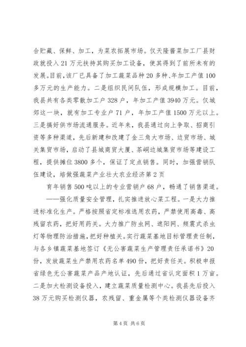 做强蔬菜产业　壮大农业经济 (3).docx