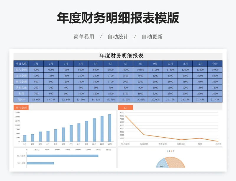 年度财务明细报表模版