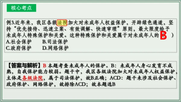 《讲·记·练高效复习》 第四单元 走进法治天地 七年级道德与法治下册 课件(共29张PPT)