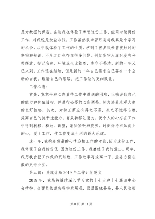 统计局个人工作计划(精选多篇).docx