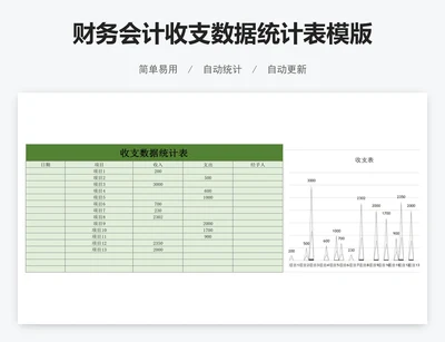 财务会计收支数据统计表模版