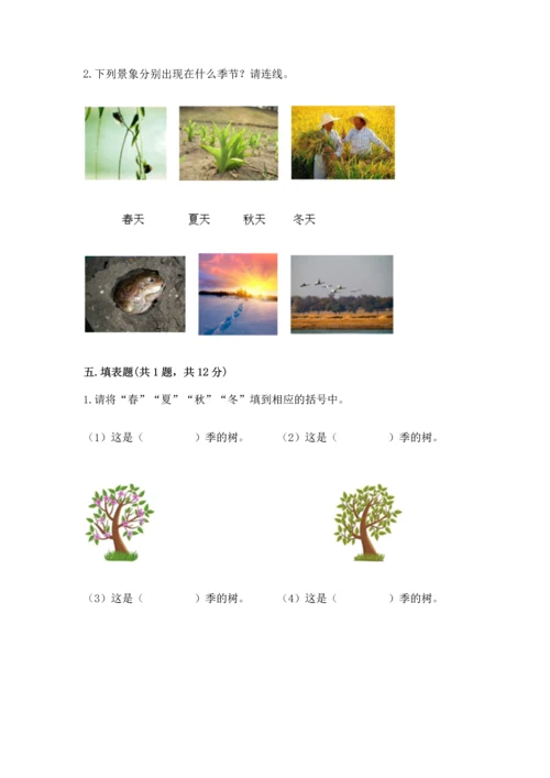 教科版科学二年级上册《期末测试卷》【基础题】.docx