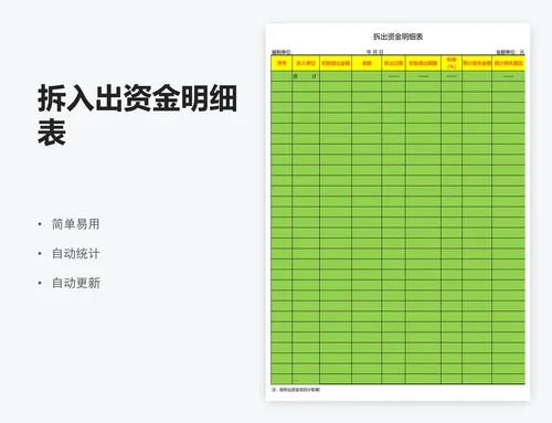 拆入出资金明细表