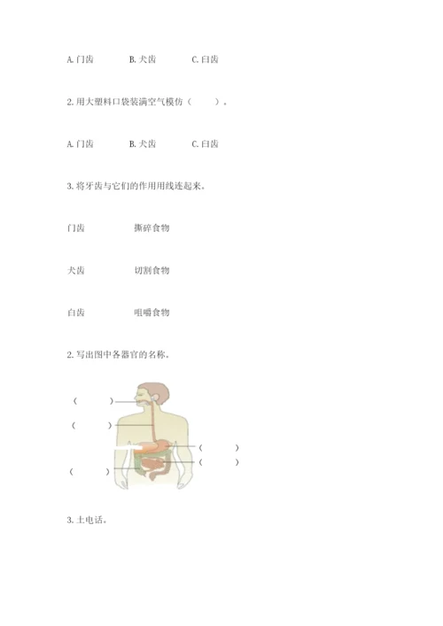 教科版四年级上册科学期末测试卷【夺冠系列】.docx