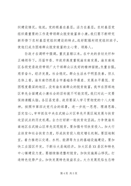 孙政才-坚决打好扶贫开发攻坚战促进渝东南经济社会持续健康发展.docx