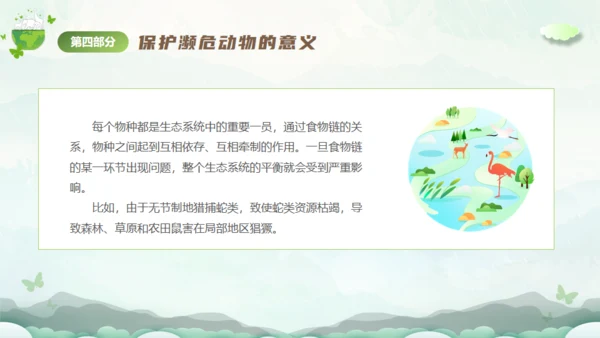 保护濒危动物，拯救美好生命通用PPT模板