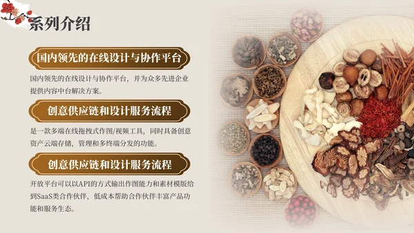 红棕色中医药产品介绍PPT模板