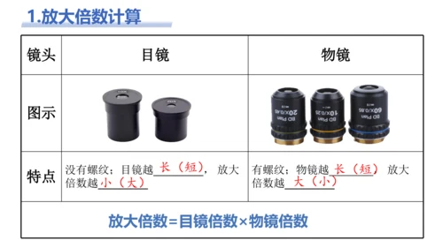 【核心素养目标】2.1.1《练习使用显微镜》课件(共42张PPT)