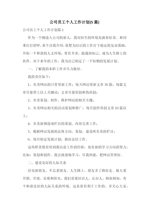 公司员工个人工作计划(5篇).docx