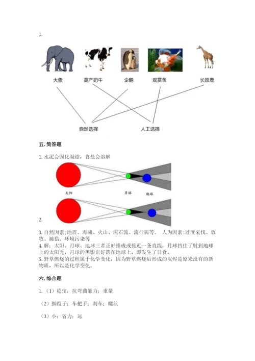 教科版六年级下册科学期末测试卷完整答案.docx