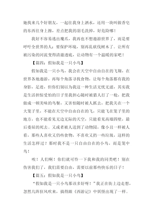 假如我是一只小鸟作文300字.docx