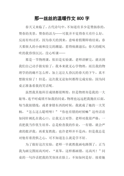 那一丝丝的温暖作文800字.docx