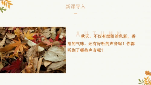 7 听听，秋的声音  课件