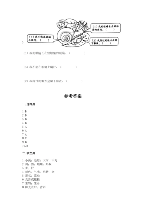 教科版一年级下册科学期末测试卷及参考答案【达标题】.docx