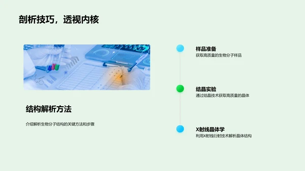 季度生物研究报告PPT模板