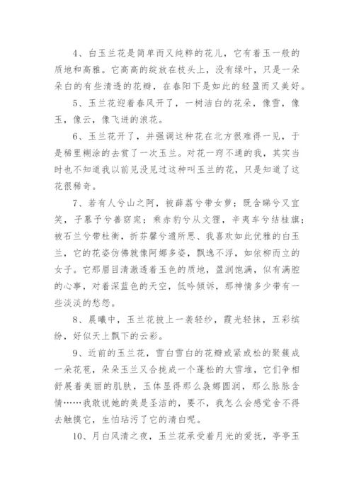 描写玉兰花的优美句子.docx
