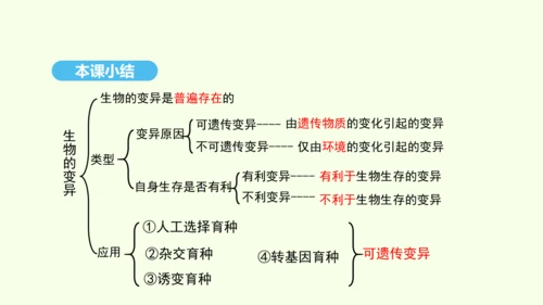 7.2.5生物的变异课件-人教版生物八年级下册(共28张PPT)