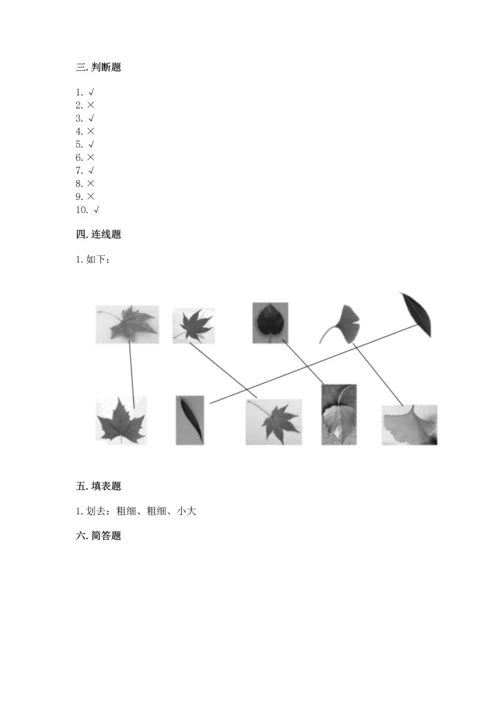 教科版一年级上册科学期末测试卷附参考答案（模拟题）.docx