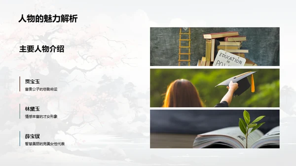 深度解读《红楼梦》