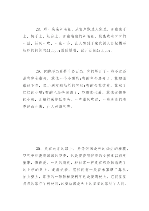 描写鲜花优美的句子.docx